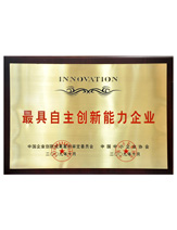 潤(rùn)大世紀(jì)榮獲最具自主創(chuàng)新能力企業(yè)榮譽(yù)證書(shū)，{dede:global.qz_keyword_b/}